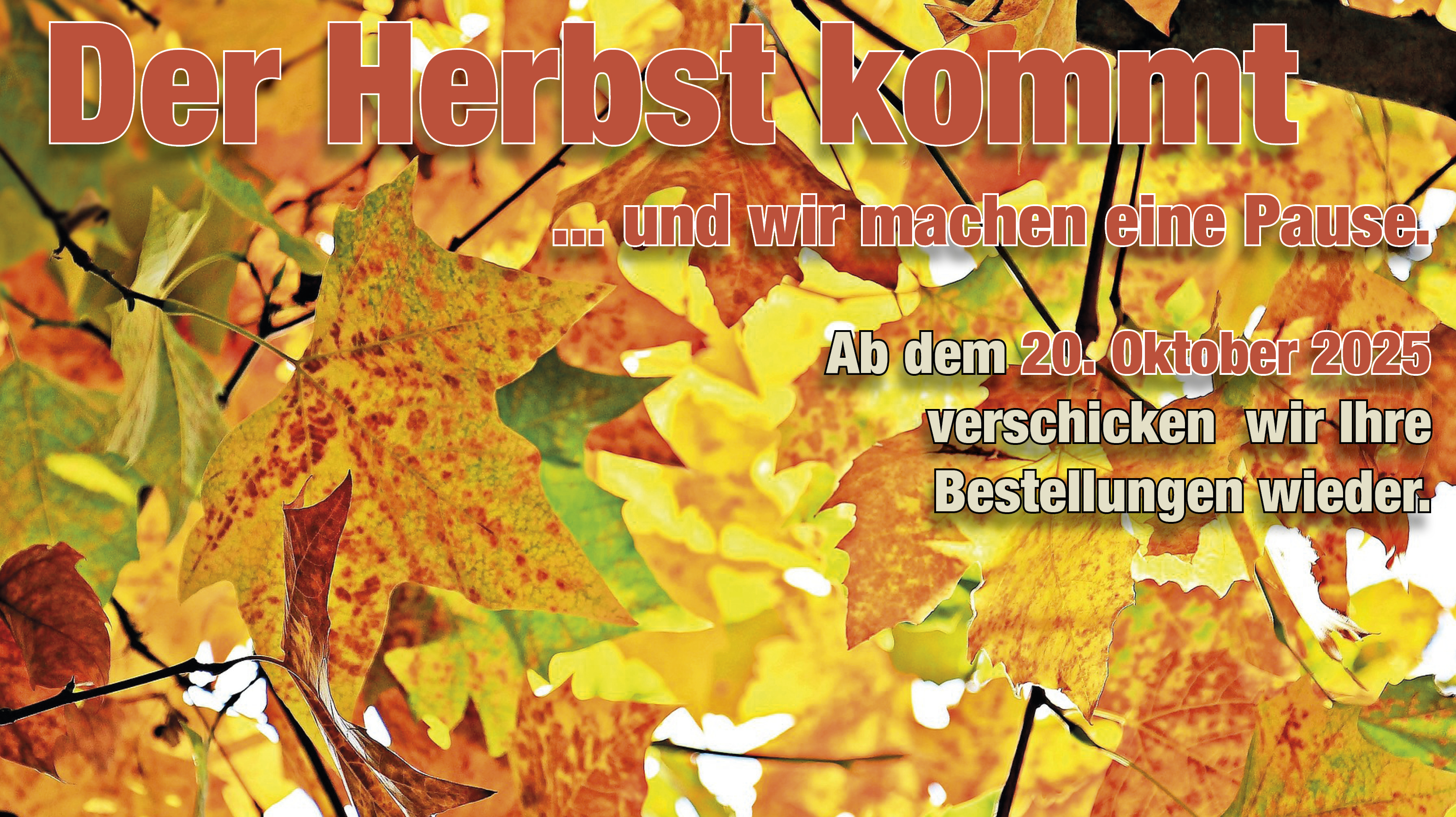 Ab dem 20. Oktober 2025 versenden wir Ihre Bestellung.